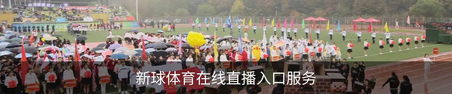 新球体育在线直播入口服务