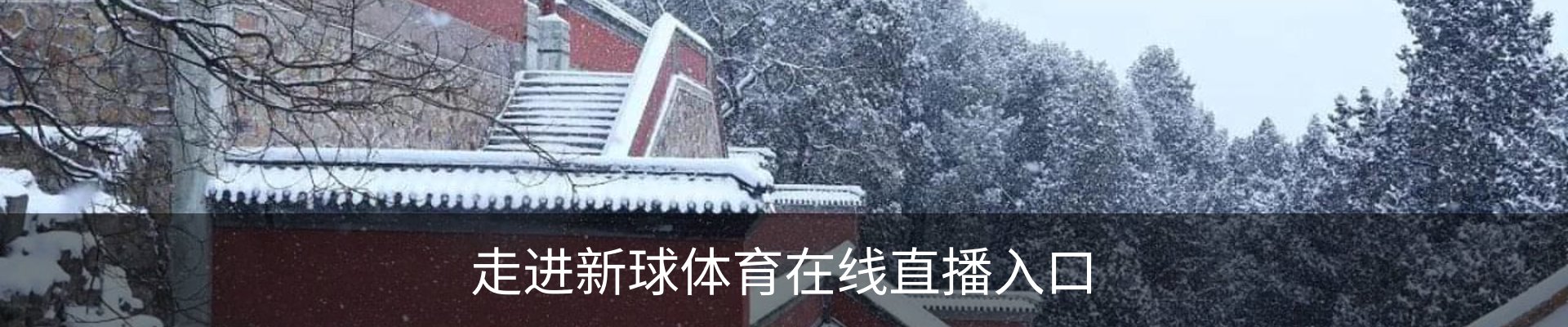 走进新球体育在线直播入口
